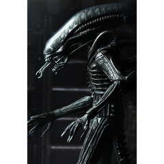 ALIEN: Ultimate 40th Anniversary Big Chap 7-Inch Scale Action Figure