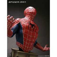 SPIDER-MAN Complete DVD-Box Japan Exclusive (with 2 Sideshow Busts)