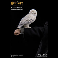 HARRY POTTER: Harry Potter 1:6 Scale Collectible Figure